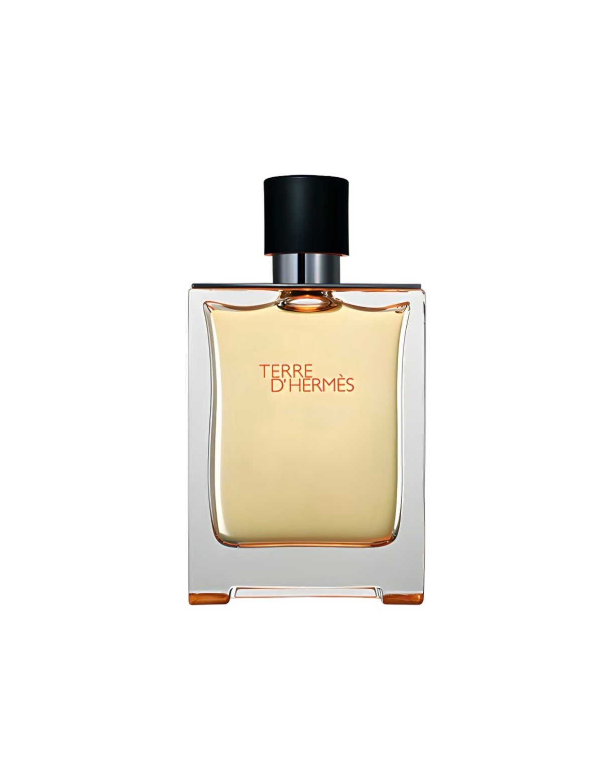 Terre d'Hermès Hermès